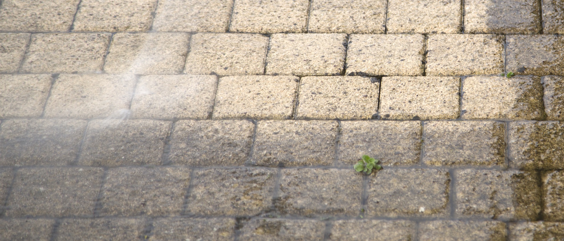 flagging and patios HA4