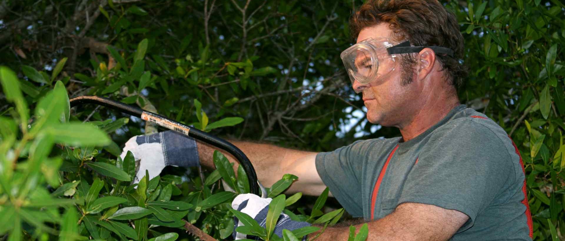 garden clearance HA4